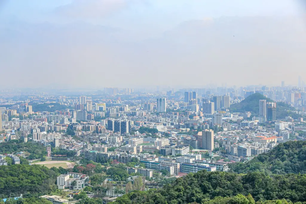 2025年市场拓展竞争策略调整指南：从定位到增长的实战路径