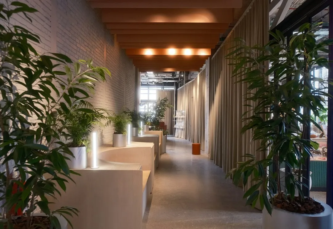市场拓展新趋势：从竞争策略到增长路径的全景解析